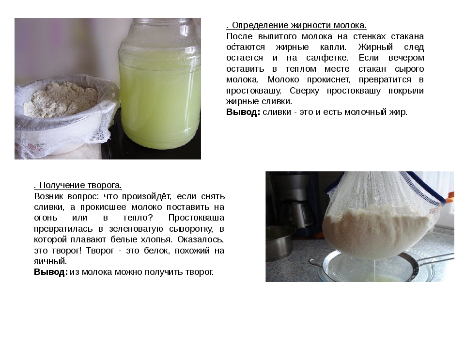 Домашний кефир рецепт пошагово. Определение жирности молока. Как определить жирность домашнего молока. Получение творога. Определение жирности молочных продуктов.