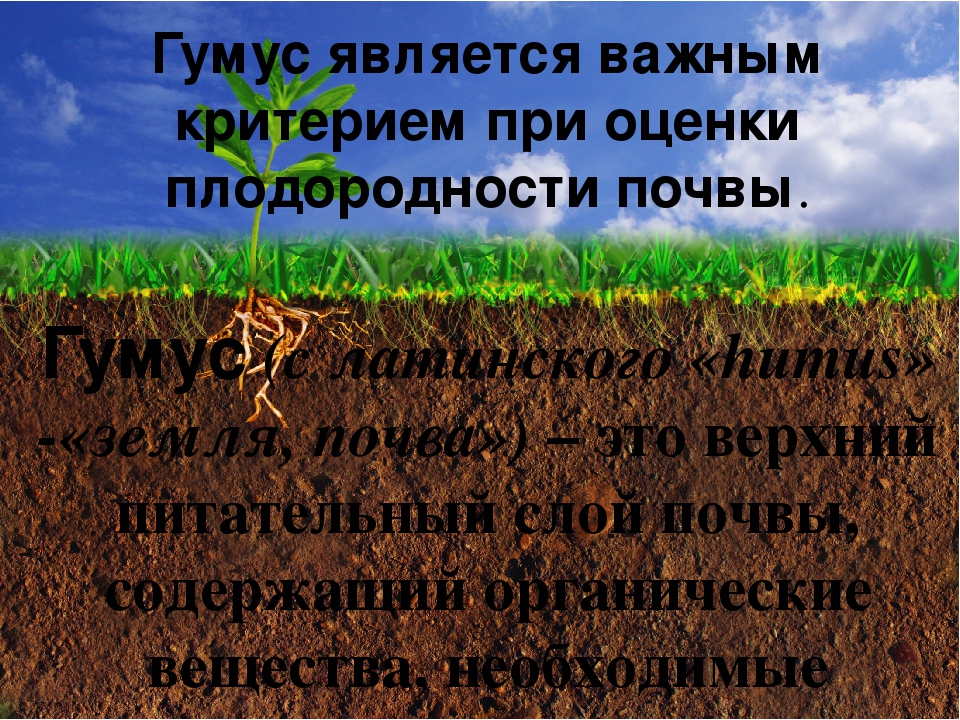 Классы почвы