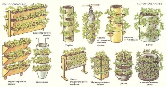 Емкости для выращивания клубники по голландской технологии
