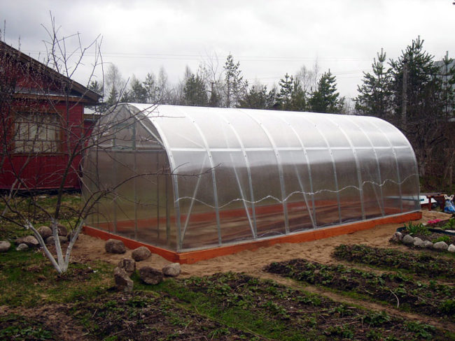 Арочная теплица из поликарбоната на металлическом каркасе для выращивания клубники круглый год