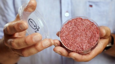Бизнес идея Выращивание мяса в лаборатории