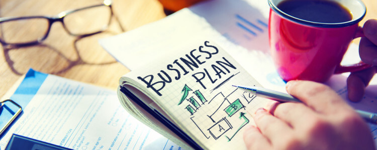 the different types of business plans