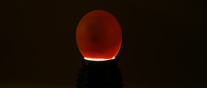 Egg candler