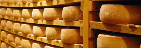 Частное производство сыра